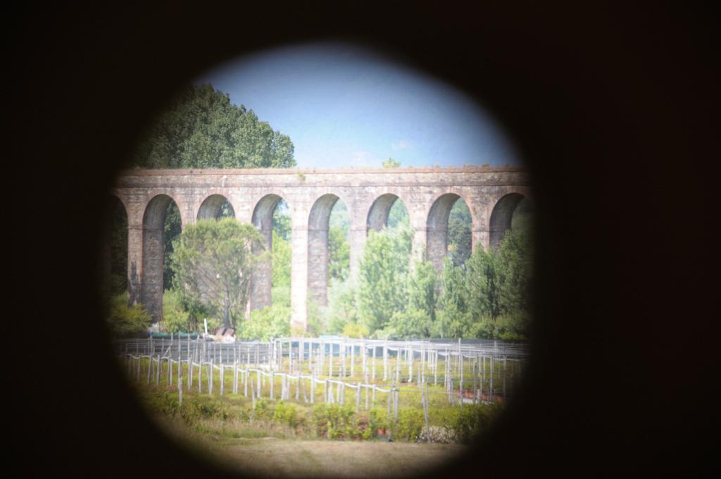 Appartamenti Vacanze Il Nottolini Capannori Exterior photo